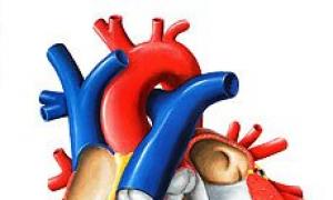 Синдром гипоплазии левых отделов сердца: диагностика, лечение