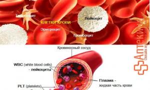 Рассмотрим расшифровку результатов PLT в анализе крови